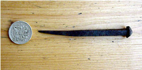 Tudor wrought nail